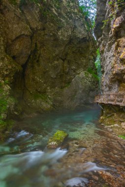 Slovenya 'da yaz sabahı Vintgar Vadisi