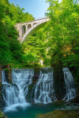 Slovenya 'da yaz sabahı Vintgar Vadisi