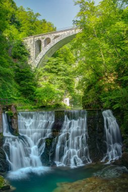 Slovenya 'da yaz sabahı Vintgar Vadisi