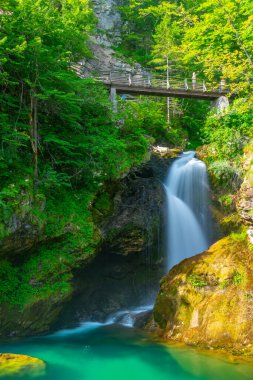 Slovenya 'da yaz sabahı Vintgar Vadisi