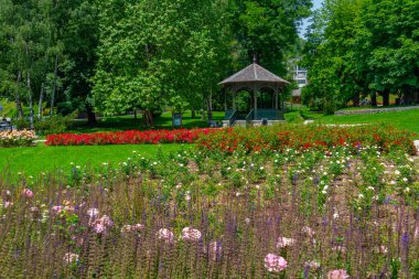Slovenya 'da göl kenarında park yeri