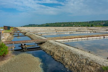 Slovenya 'daki Secovje Saltpans Doğa Parkı manzarası
