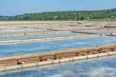 Slovenya 'daki Secovje Saltpans Doğa Parkı manzarası