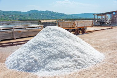 Slovenya 'daki Secovje Saltpans Doğa Parkı' ndaki sanayi tesisleri