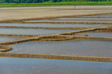 Slovenya 'daki Secovje Saltpans Doğa Parkı manzarası
