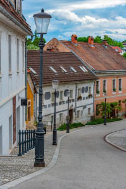 Slovenya 'nın merkezindeki Dar Sokak Novo Mesto