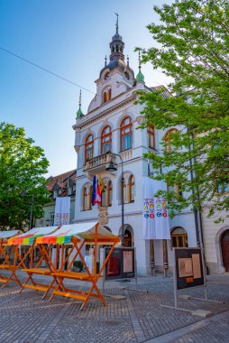 Novo Mesto town hall in Slovenia clipart