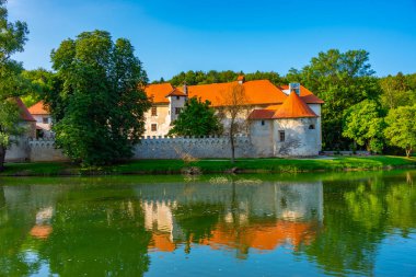 Slovenya 'da Novo Mesto yakınlarındaki Otocec kalesi