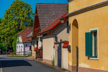 Slovenya 'daki Kostanjevica na Krki' de güneşli bir gün