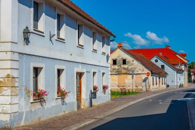 Slovenya 'daki Kostanjevica na Krki' de güneşli bir gün