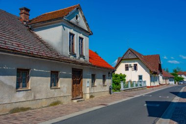 Slovenya 'daki Kostanjevica na Krki' de güneşli bir gün