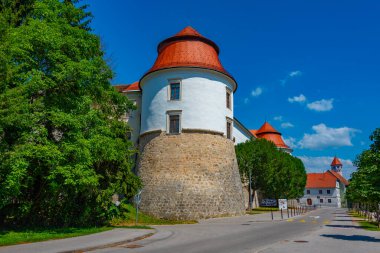 Brezice castle during a sunny day in Slovenia clipart