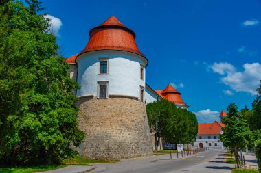 Slovenya 'da güneşli bir günde Brezice kalesi