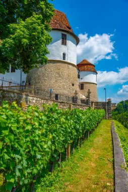Slovenya 'daki Sevnica kalesinin manzarası