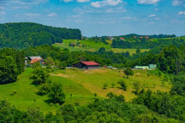 Güneşli bir günde Slovenya kırsalında