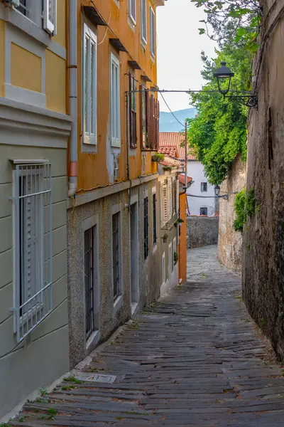 İtalyan şehri Trieste 'nin merkezinde tarihi bir cadde.