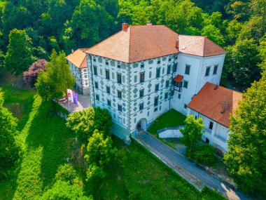 Slovenya 'daki Dvorec Strmol Rogatec şatosunun görüntüsü