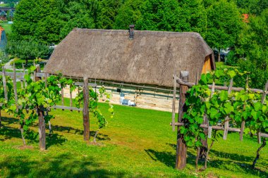 Slovenya 'daki Rogatec Açık Hava Müzesi