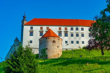 Slovenya 'daki Ptuj şatosunun manzarası