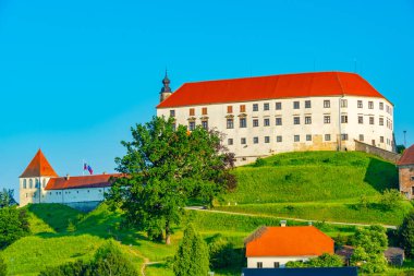 View of Ptuj castle in Slovenia clipart