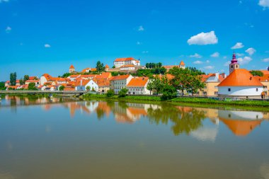 Sloven kenti Ptuj 'un Panorama manzarası