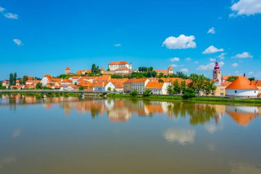 Sloven kenti Ptuj 'un Panorama manzarası