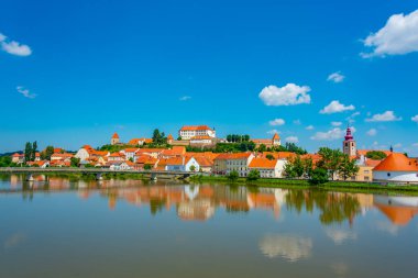 Sloven kenti Ptuj 'un Panorama manzarası