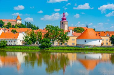 Sloven kenti Ptuj 'un Panorama manzarası