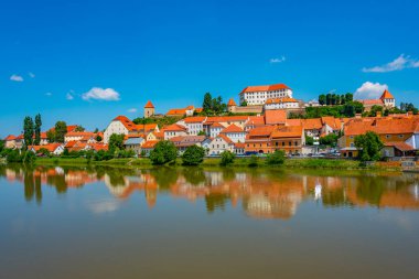 Sloven kenti Ptuj 'un Panorama manzarası
