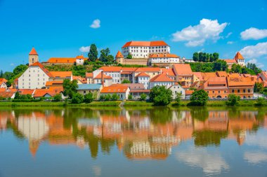 Sloven kenti Ptuj 'un Panorama manzarası