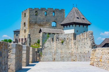 Slovenya 'da güneşli bir günde Celje kalesi