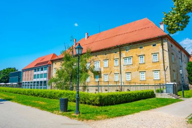 Slovenya 'nın Celje kentinde Savinja' nın nehir kenarındaki renkli binalar