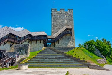 Celje castle during a sunny day, Slovenia clipart