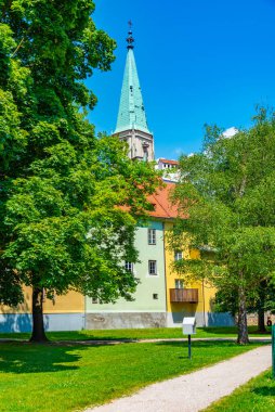 Slovenya 'nın Celje kentindeki Aziz Daniel Katedrali