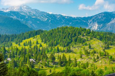 Slovenya 'daki Velika Planina manzarası