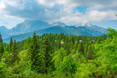 Slovenya 'daki Velika Planina manzarası