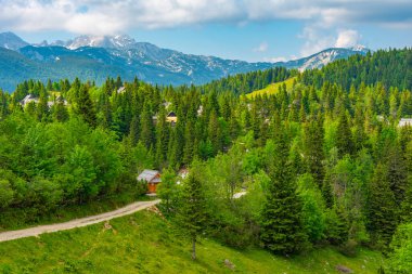 Slovenya 'daki Velika Planina manzarası