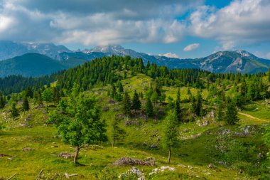Slovenya 'daki Velika Planina manzarası