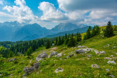 Slovenya 'daki Velika Planina manzarası