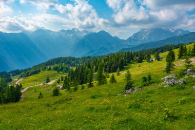 Slovenya 'daki Velika Planina manzarası