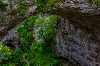 Slovenya 'daki Rakov Skocjan doğal parkında doğal köprü