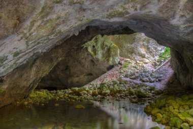 Zeljske jamy Slovenya 'daki Rakov Skocjan doğal parkında mağarada
