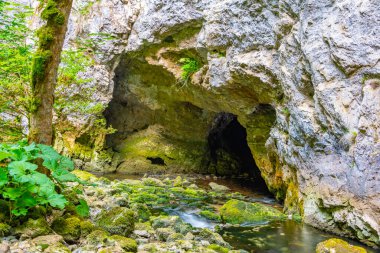 Zeljske jamy Slovenya 'daki Rakov Skocjan doğal parkında mağarada
