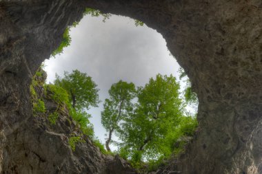 Slovenya 'daki Rakov Skocjan doğal parkında doğal köprü