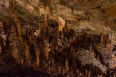Slovenya 'daki Postojna mağarasında jeolojik oluşumlar