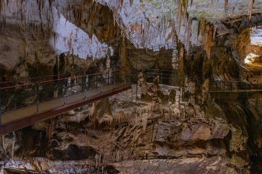 Slovenya 'daki Postojna mağarasında jeolojik oluşumlar