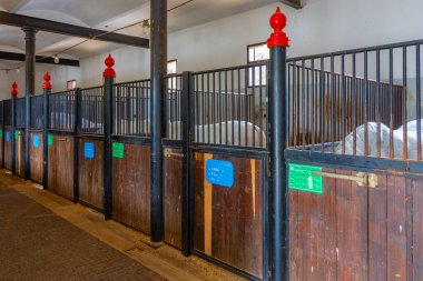 Lipica 'daki Slovenya köyünde ünlü Lipizzaner atlarının yetiştirildiği ahırlar