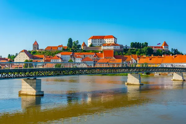 Sloven kenti Ptuj 'un Panorama manzarası