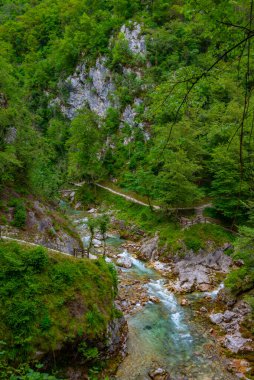 Tolmin vadisi Slovenya 'da bir yaz sabahı boyunca