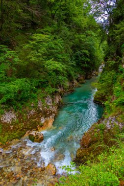 Tolmin vadisi Slovenya 'da bir yaz sabahı boyunca